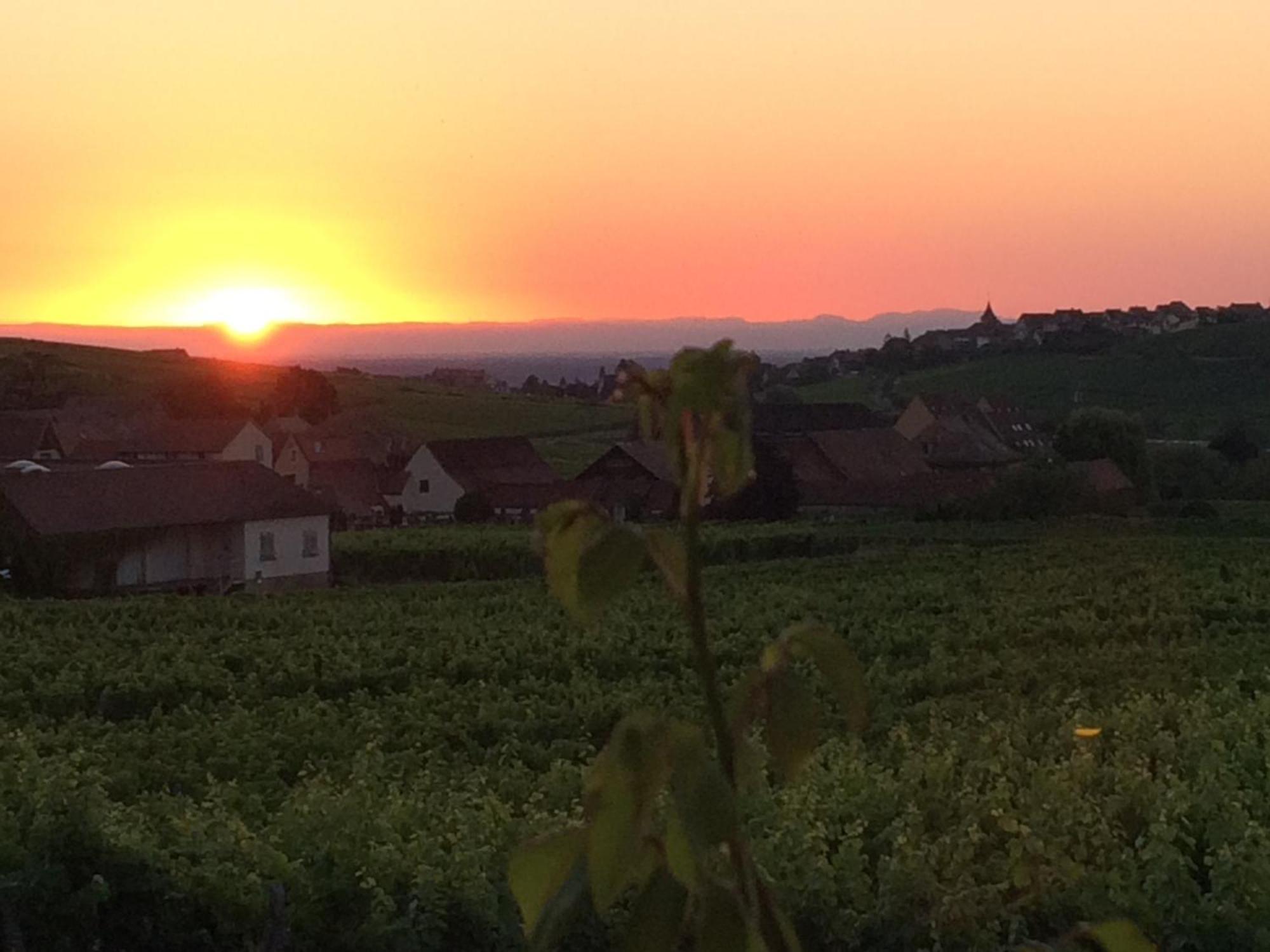 Gite Le Mandle Riquewihr Dış mekan fotoğraf