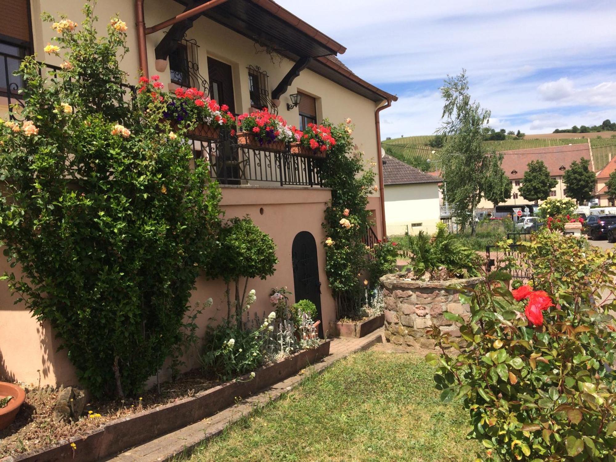 Gite Le Mandle Riquewihr Dış mekan fotoğraf