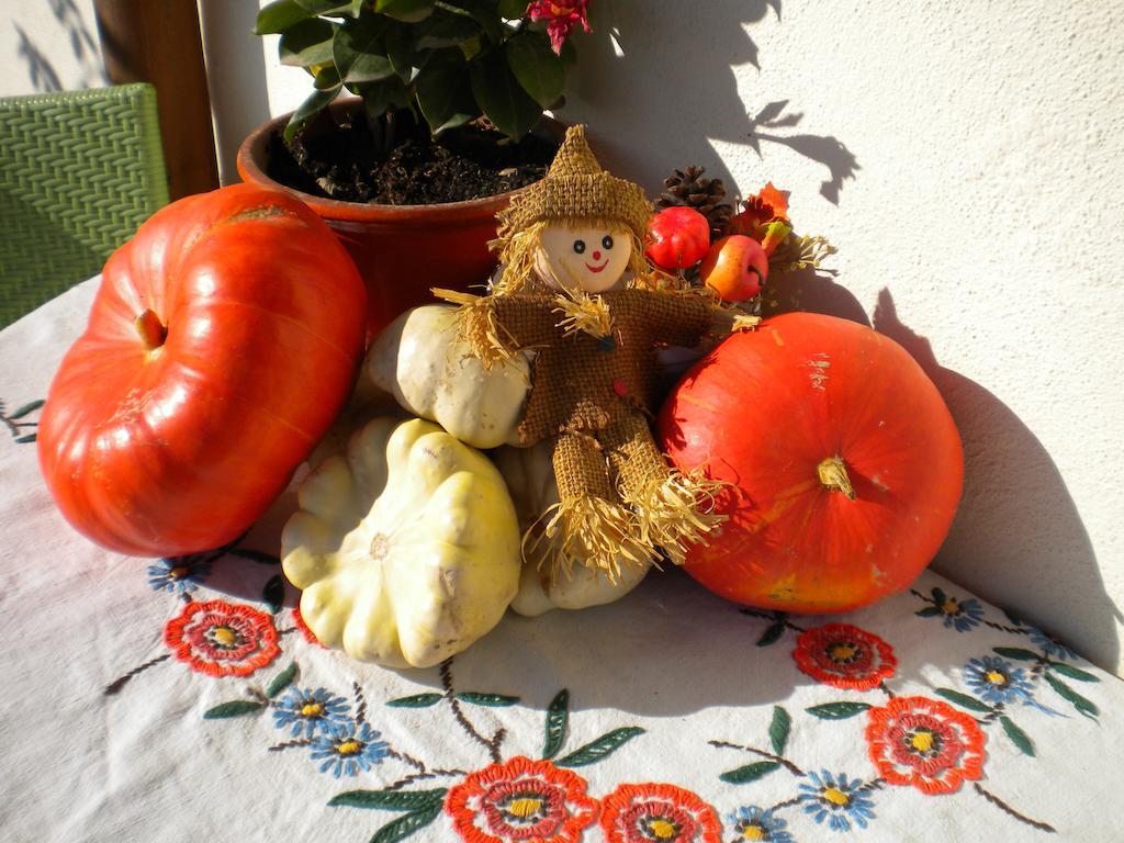Gite Le Mandle Riquewihr Oda fotoğraf