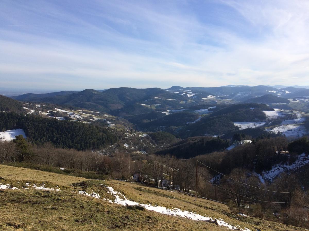 Gite Le Mandle Riquewihr Dış mekan fotoğraf